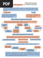 Mapa Conceptual