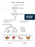 Dichotomous Key Practice 2