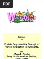 RDP-UDP Protein Seminar