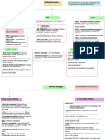 Mapa Conceptual Voz - Parte 2