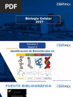 Biología Celular-Identificación de Biomoléculas en Alimentos-3-16