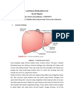 LP Minggu 2 KMB-Kelompok 5 (7B-IPD) - LP-Sirosis Hepatis