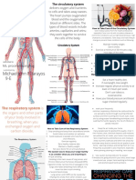 The Circulatory and Respiratory System