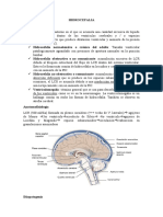 Hidrocefalia