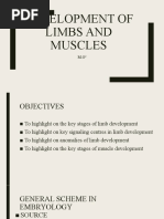 Development of Muscles and Limbs