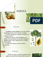 Papaya