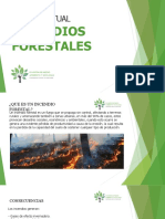 Taller de Incendios Forestales - 2021 Div Medio Ambiente