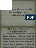 Derechos Fundamentales