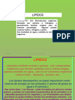 Lipidos