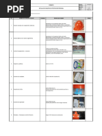Lista de EPP Con Su Respectiva Norma PDF