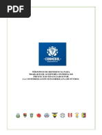 Anexo B - Terminos de Referencia Ae Proyectos Financiados Con Fondos Del Pe Rev