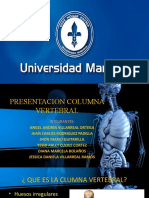 PRESENTACION COLUMNA VERTEBRAL Oficial