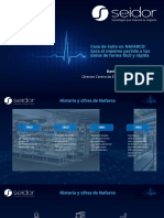 F18 Seidor 1 Analytic