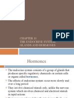 Chapter 11 Endocrine Glands