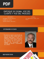 3enfoque Six Sigma, Voz Del Cliente, Voz Del Proceso.