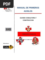 12.7 Manual de Primeros Auxilios Guihesi