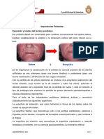 Impresiones Primarias