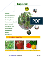 Capsicum: 1. Product Profile