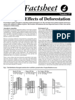 Biological Effect of Deforestation