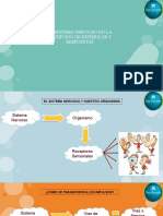 El Sistema Nervioso en La Recepción de Estímulos y Respuestas