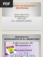 Practica 1 Zot100