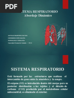 Sistema Respiratorio