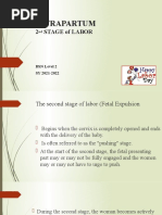 Intrapartum: 2 Stage of Labor