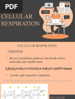 Cellular Respiration