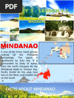 HIS003 LECTURE 2 Geographical Setting of Mindanao 