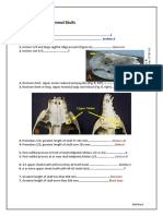 Key To Common Mammal Skulls: Kerry Wixted