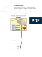 Sistema Nervioso Central