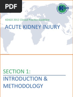 Acute Kidney Injury: KDIGO 2012 Clinical Practice Guideline