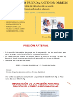 Seminario Presion Arterial