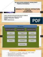 Semana N °13: Núcleo-Estructura Y Función Cromosomas: Instituto de Educación Superior Tecnológico "Franklin Roosevelt