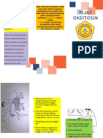 Sap Leaflet Pijat Oksitosin