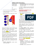 4.PNEUMO - Derrame Pleural