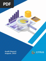 Citrus Token - Audit Report PDF