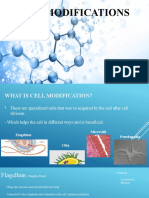 Cell Modifications