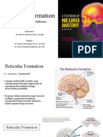 Neuroanatomy Reticular Formation