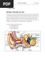 Tema 1 Al 14 (Oído)