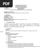 Informe Practica Rotiferos