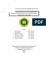 Laporan Pelaksanaan Magang Di BKKBN Provinsi NTT Tahun 2020