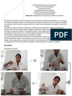 Reporte 11: Elaboración de Una Pieza Por Moldeo Por Inyección