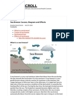 Sea Breeze - Causes, Diagram and Effects - Jotscroll