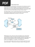 2.drugs Used in Gout