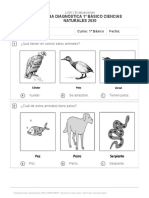 Prueba Diagnostica 1o Basico Ciencias Naturales 2020 5049366 PDF