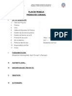 Esquema de Plan de Trabajo Promoción Comunal