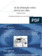 Síndrome Da Dilatação Volvo Gástrica em Cães