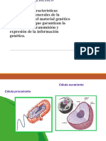 2°medio Biologia - El Nucleo