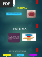 OSTOMÍA